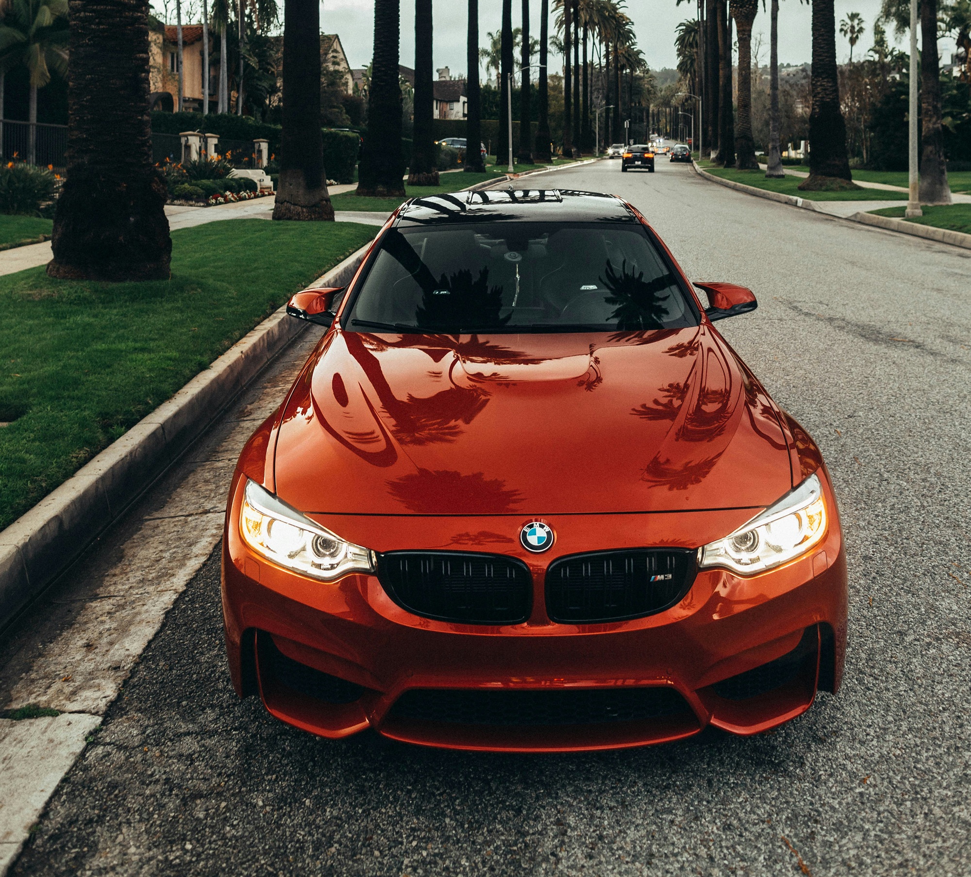 roberto-nickson-zu95jkyrGtw-unsplash