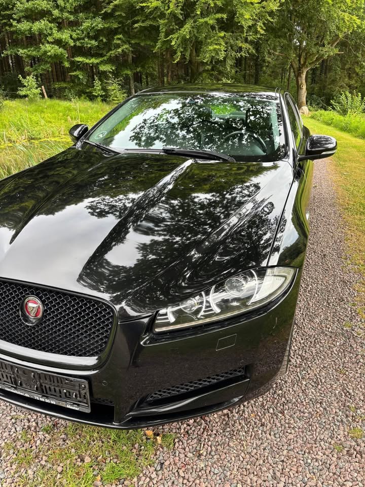 597597250_2130709767672732_1555738716650303672_n