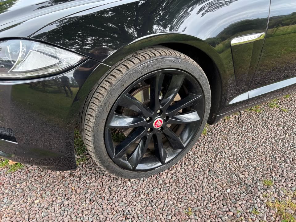 597605543_2130709787672730_4406190955240162457_n