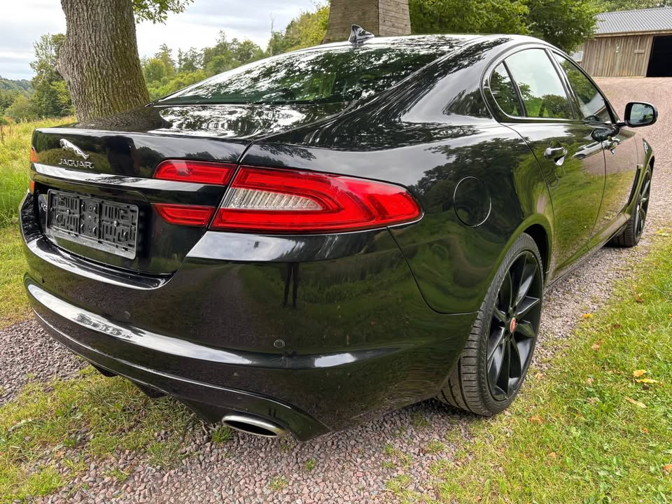 597861986_2130709764339399_3413918453761134682_n